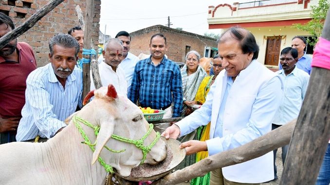 Dinesh Shahra Foundation conducts Gau Shakti Abhiyan in Nagpur