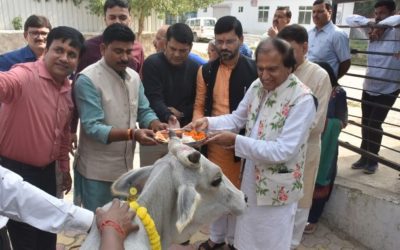 Dinesh Shahra Foundation intensifies its Gau Shakti Abhiyan amid pandemic