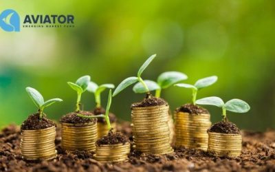 Aviator EMF strengthens investments in Indian NBFCs