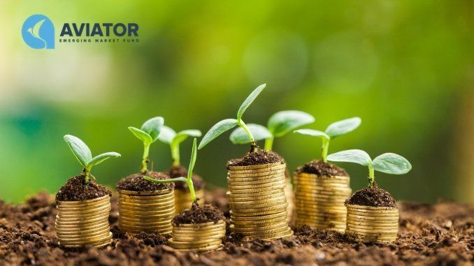 Aviator EMF strengthens investments in Indian NBFCs