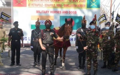 Bangladesh to Receive 20 Fully Trained Military Horses, 10 mine Detection Dogs from India